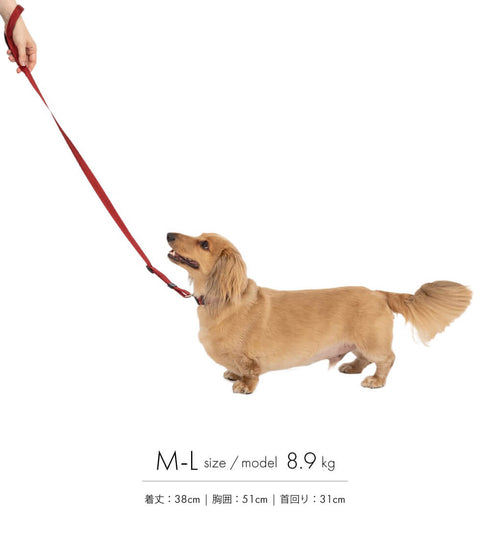 MANDARINE BROTHERS クラシックリード/CLASSIC LEASH
